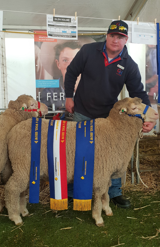 172565 grand champion with Damien National Champion 2019 Bendigo