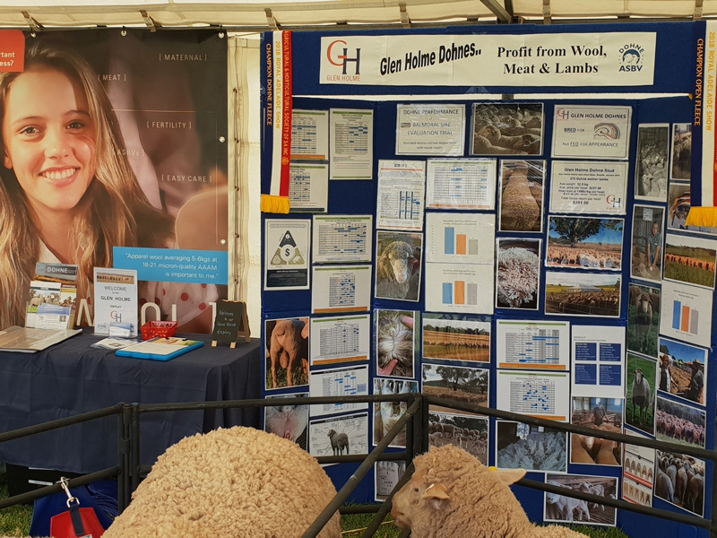 Disply at South East Field Days 2019